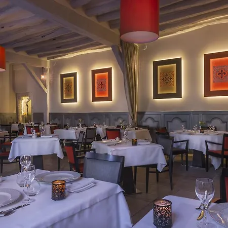 Aux Vieux Remparts 4* 普罗万